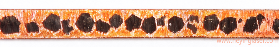 13 13